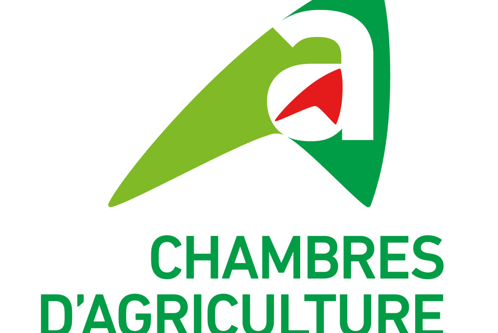 Visite découverte : Atelier de production d&rsquo;huile en Normandie