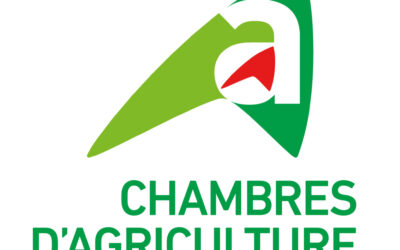 Visite découverte : Atelier de production d&rsquo;huile en Normandie